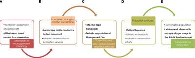 Balancing conservation planning and mitigation: perspectives from a case study of the Asiatic lions